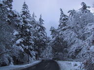 UVic Ring Road (2006-11-27)