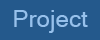 Project Page